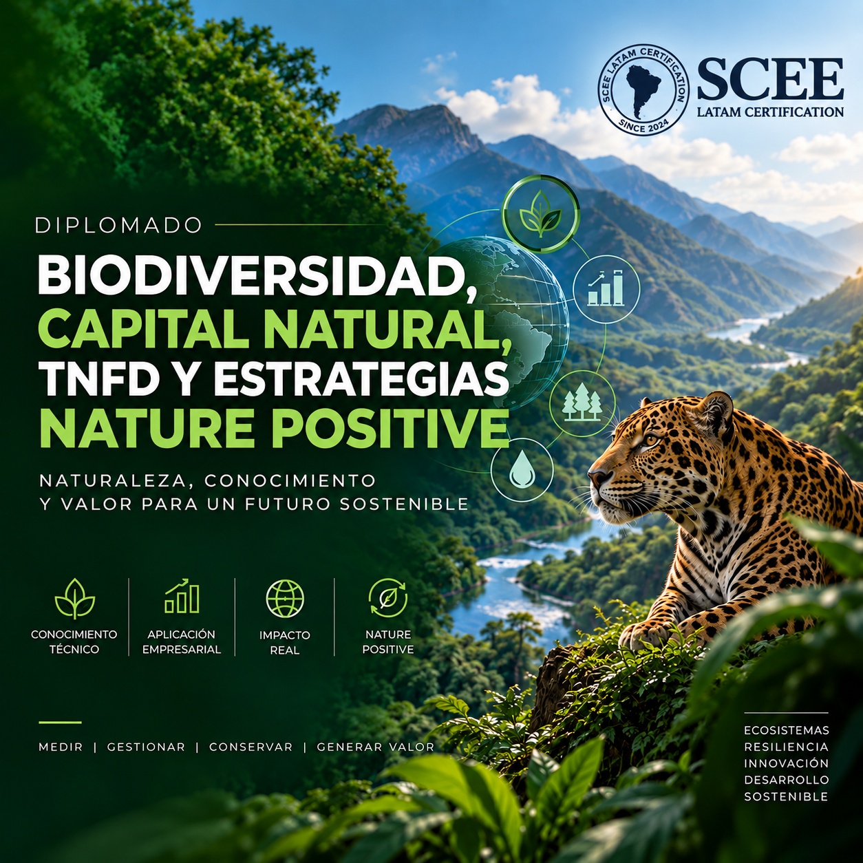 Diplomado en Biodiversidad, Capital Natural, TNFD y Estrategias Nature Positive